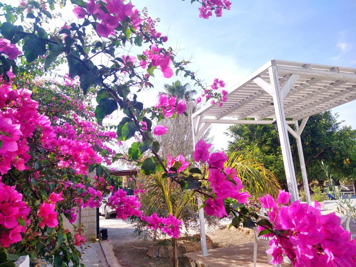 Finca El Aulagar Málaga Exteriör bild