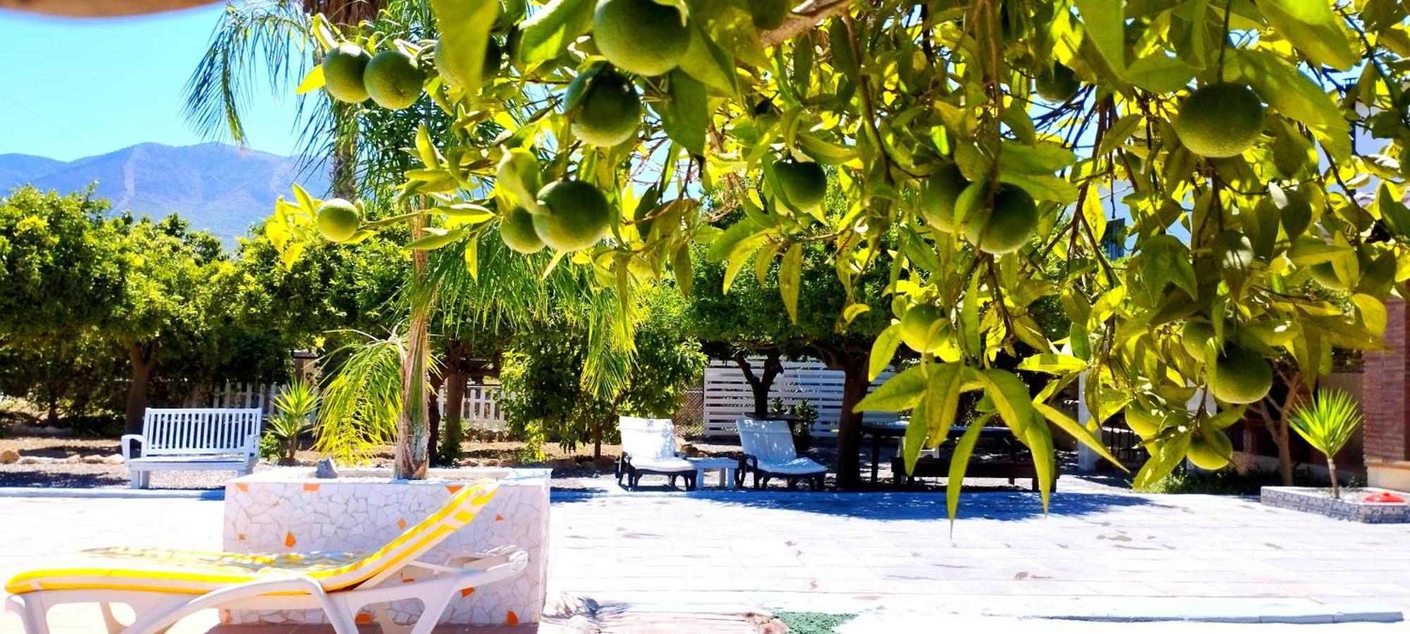 Finca El Aulagar Málaga Exteriör bild